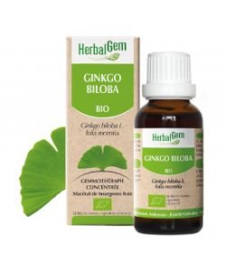 Ginkgo biloba bourgeon BIO, 15 ml